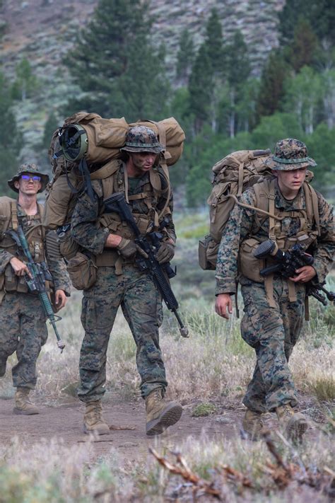 Dvids Images The Final Descent Us Marines With 1st Battalion