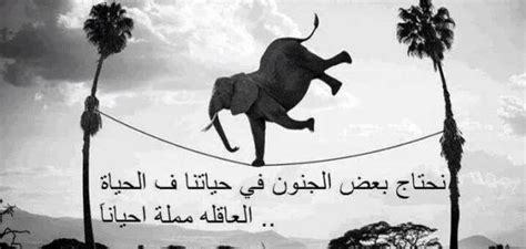 المسلسل ينقل واقع يعيشه لبنان بين عائلة لبنانية وعائلة سورية تجمعهم الحياة في ظروف قاسية، الأمر الذي يجبرهم إلى تحدي الظروف خصوصاً عندما يجمع الحب زين وعليا في قصة شبه مستحيلة. كلمات عن الحياة - موضوع