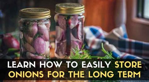 Learn How To Easily Store Onions For The Long Term