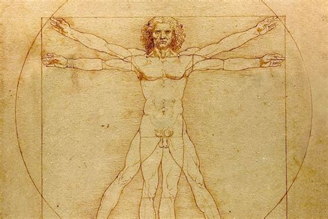 What You Need To Know About Leonardo S Vitruvian Man Widewalls