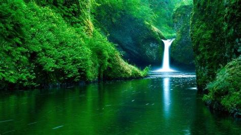 Waterfall Water Nature Landscape Green River Forest Hd Wallpaper