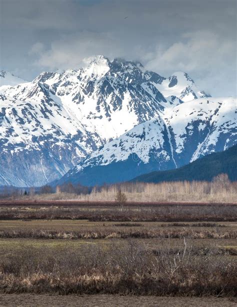 Beautiful Tundra In Southern Alaska With Majestic Snow Capped Mountains