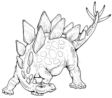 Stegosaurus Dibujos Para Colorear Dinosaurios Dibujos Sexiz Pix