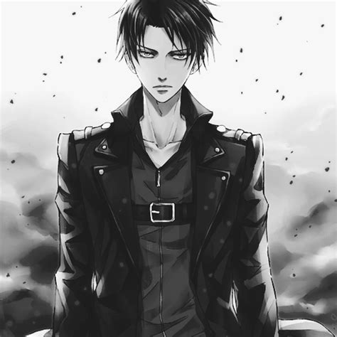 Levi X Reader A Mission Worth Dying For Chapter 61 Wattpad