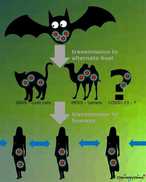 Coronavirus Entering and Replicating in a Host Cell :: ChemViews