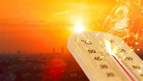 Heatwave Expected Across Bay Area From Midweek Piedmont Exedra