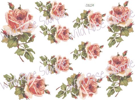 Klein Single Pink Cabbage Rose Shabby Chic Decals Designs By Iris