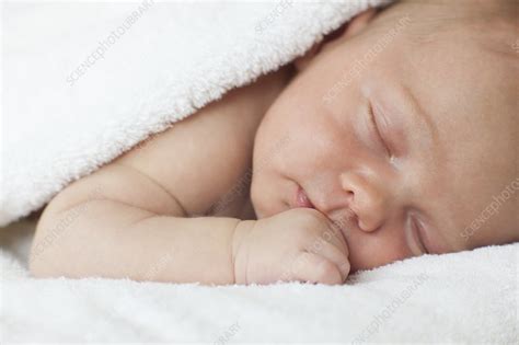 Newborn Baby Boy Asleep Stock Image F0128930 Science Photo Library