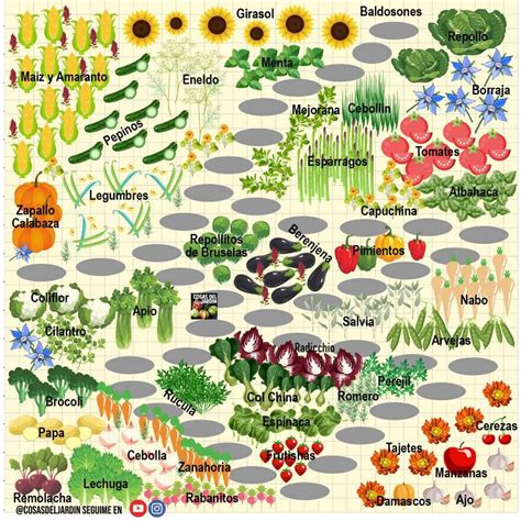 El gran plano de la asociación de cultivos - Cosas del Jardin | Como