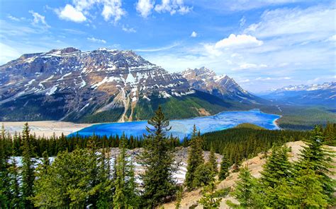 Download Wallpapers 4k Peyto Lake Banff National Park Canadian