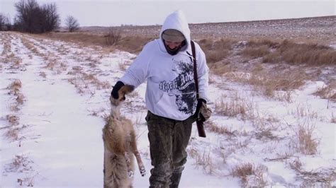 Coyote Hunting 3 Dead Coyotes Youtube