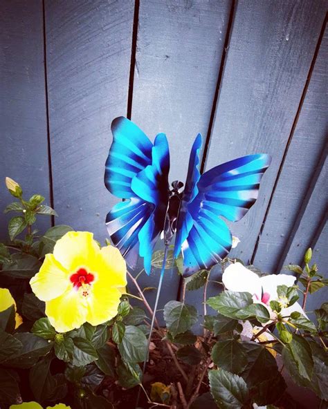 Metal Butterfly Garden Stake Blue Morpho Butterfly Garden Stake