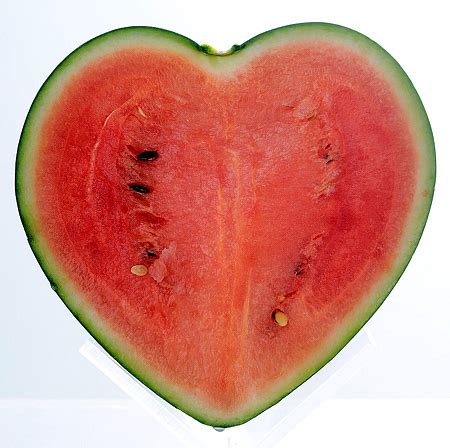 Pacific grey whale, heart shaped blow, 2. Heart Shaped Watermelon