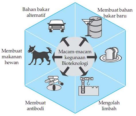 [Kunci Jawaban] Bioteknologi dalam penerapannya tidak selalu bermanfaat