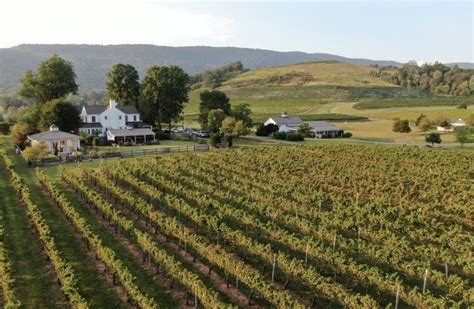 Plan Your Dream Vacation In Virginia Wine Country Virginia Wine Blog