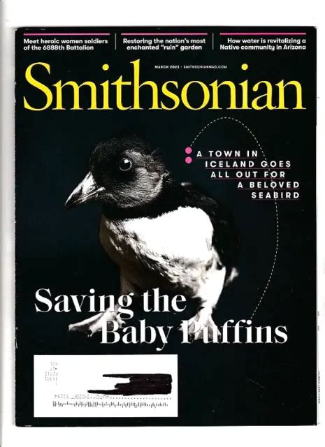 Smithsonian Magazine 32023 Iceland Baby Puffins Delaware Abandoned