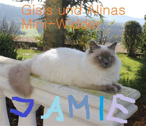 Check spelling or type a new query. index mini-widder.beepworld.de