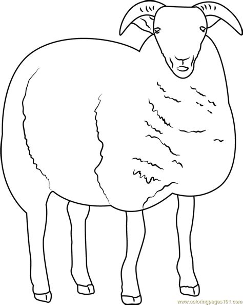 On this page, you can find a collection of sheep coloring pictures. Sheep Coloring Page - Free Sheep Coloring Pages ...