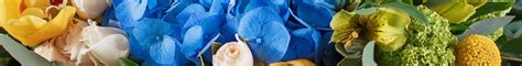 Sunshine flowers have a broad network of florists based across miami, fl. Trias Flowers - Voted Best Florist in Miami - Trias Flowers