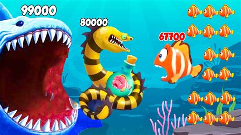 Survival Fish Hungry Fish Games 6⭐ Max Levels Video Gameplay Help
