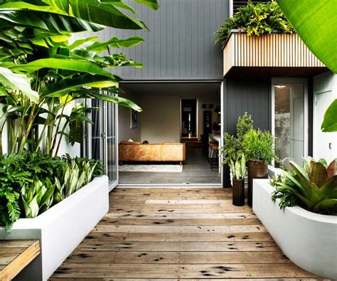 A Small Tropical Garden With Low Maintenance Plants — Homes To Love