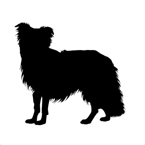 Border Collie Vector Graphic Svg Silhouette Etsy