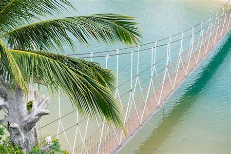 170 Sentosa Bridge Stock Photos Pictures And Royalty Free Images Istock