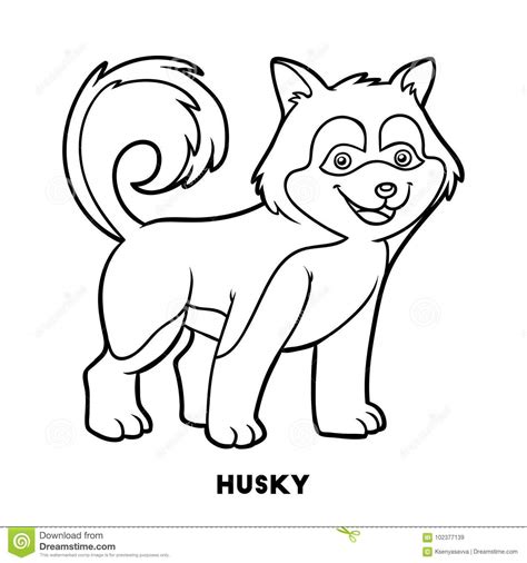 Download our free husky coloring pages right now and share with your children the. Coloring Book, Dog Breeds: Husky Stock Vector ...
