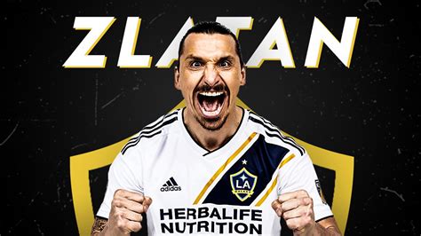 As one of the winningest players of all time, we are confident that zlatan can be one of the most dangerous strikers in our league. Real Name Of Zlatan Junior - Zlatan Junior Net Worth ...