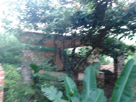 Maybe you would like to learn more about one of these? Maison à Vendre , KENSCOFF, haiti - Maison à vendre - Port ...