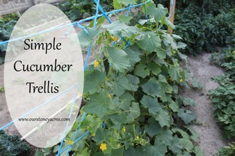 Unfortunately, as their vines grow, cucumbers sprawl and end up taking up too much garden space, especially for gardeners with small yards. DIY Friday - Simple Cucumber Trellis - Stoney Acres