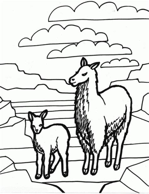 Maybe you would like to learn more about one of these? Llama Llama Coloring Pages - Coloring Home