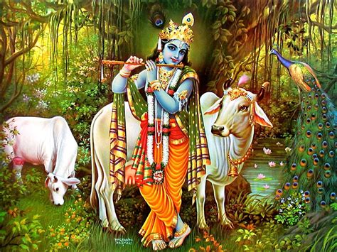 Sri Krishna And The Cows Hindu Parenting