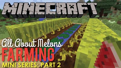 All About Growing Melons In Minecraft Part 2 Youtube