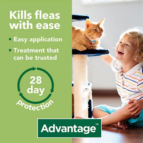 Advantage 80 Spot On Flea Treatment For Cats And Rabbits 4kg And Over 4