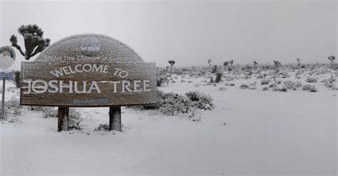 Photos Snow Falls Again In Joshua Tree Yucca Valley And The Hi