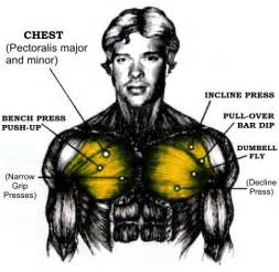 Hello Six Pack Abs - My Body Transformation: What are the Best