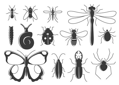Insetos Definidos Em Estilo Simples Linha Coleção De ícones De Bugs De