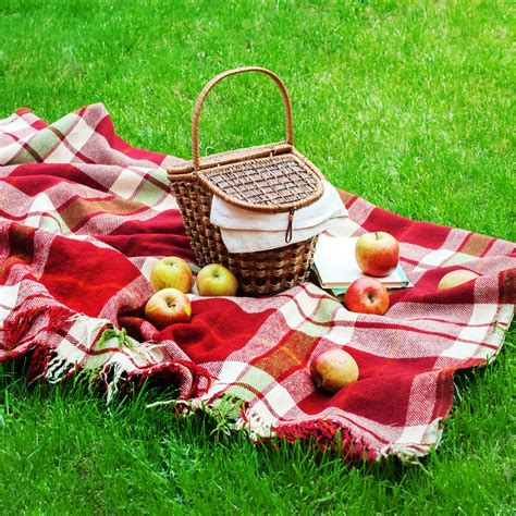 Find more memorial day side dishes here. National Picnic Day 2019 | Qualads