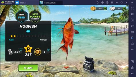 Anything you hit once will die instantly, be it a zombie, skeleton, or those creepy and massive spiders in the dark. Fishing Clash Mod Apk 1.0.130 with Unlimited Coins, Gems and Money Mod. - ToolsDroid