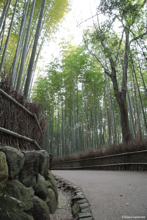 Arashiyama Bamboo Grove The Sagano Bamboo Forest In Kyoto