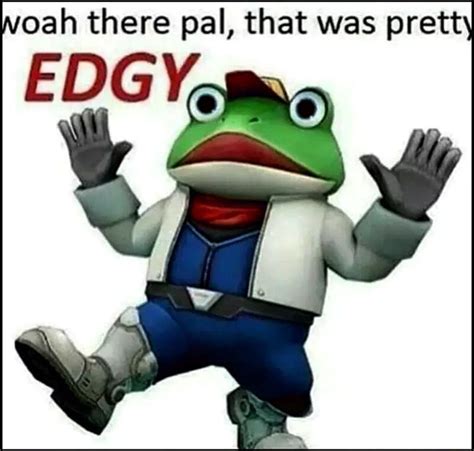 Frog Pal That Was Pretty Edgy Meme Stupid Funny Memes Funny Laugh