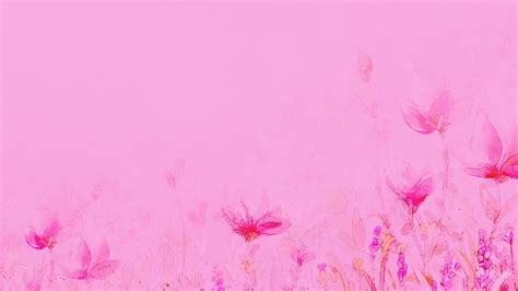 Light Pink Flower Wallpapers Wallpaper Cave