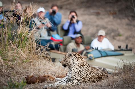 The 5 Best African Safaris - Keep Asking