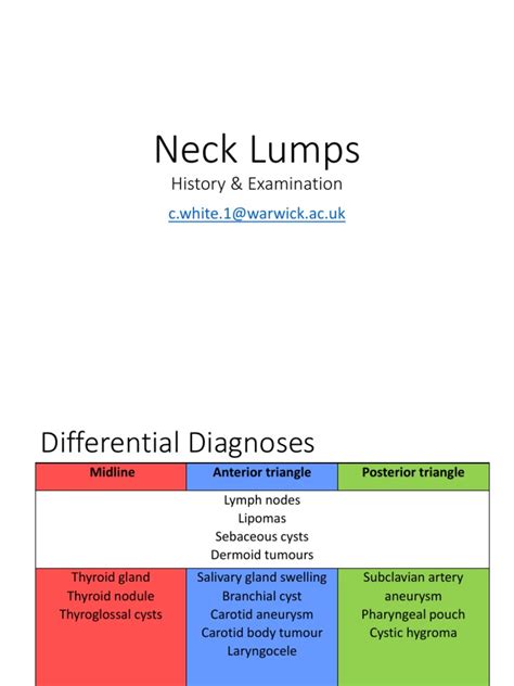 Neck Lump Medical Specialties Human Anatomy