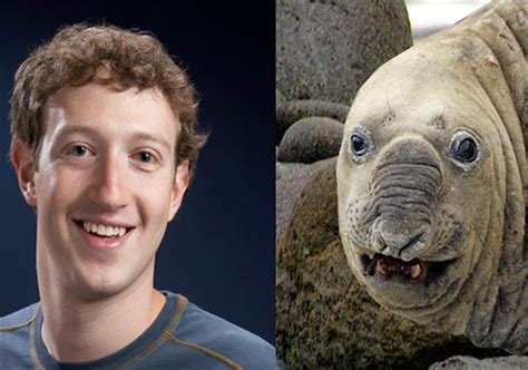 Famous People And Their Animal Doppelganger 20 Pics