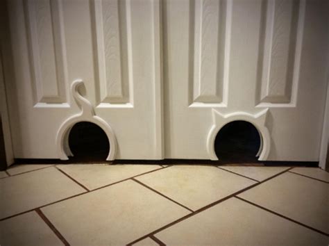 your doors and your cats both desperately need the kitty pass