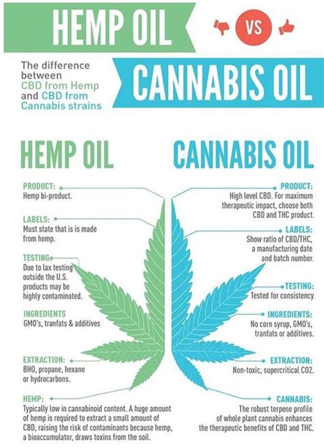 Differences Between Cannabis Oil Vs Hemp Oil Benefits And Uses