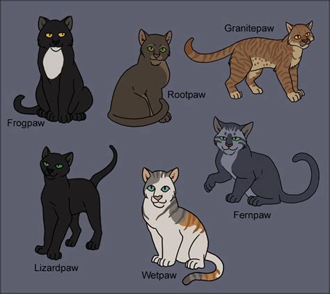 Shadowclan Apprentices Warrior Cats Beautiful Cats Small Kittens
