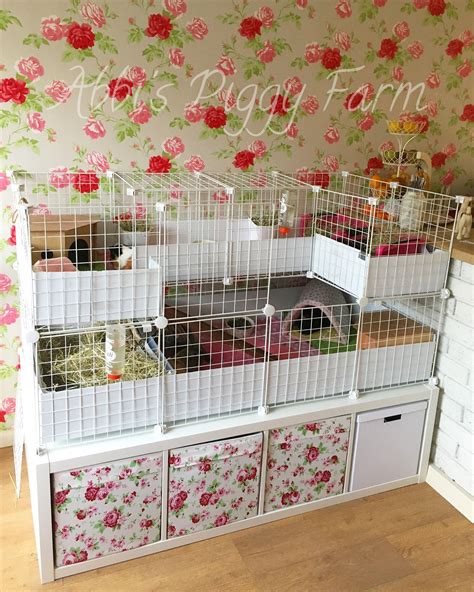 Big Guinea Pig Cages For 2